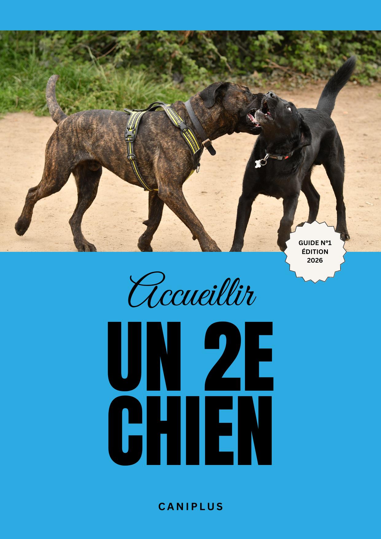 Couverture du guide Accueillir un 2e chien