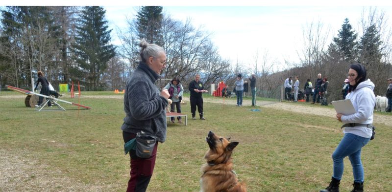 Exercice d'éducation canine sur le terrain de CaniPlus à Ballaigues