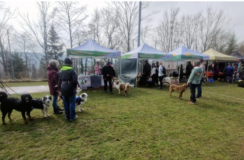 Stands et chiens en laisse lors d'un événement canin à Ballaigues